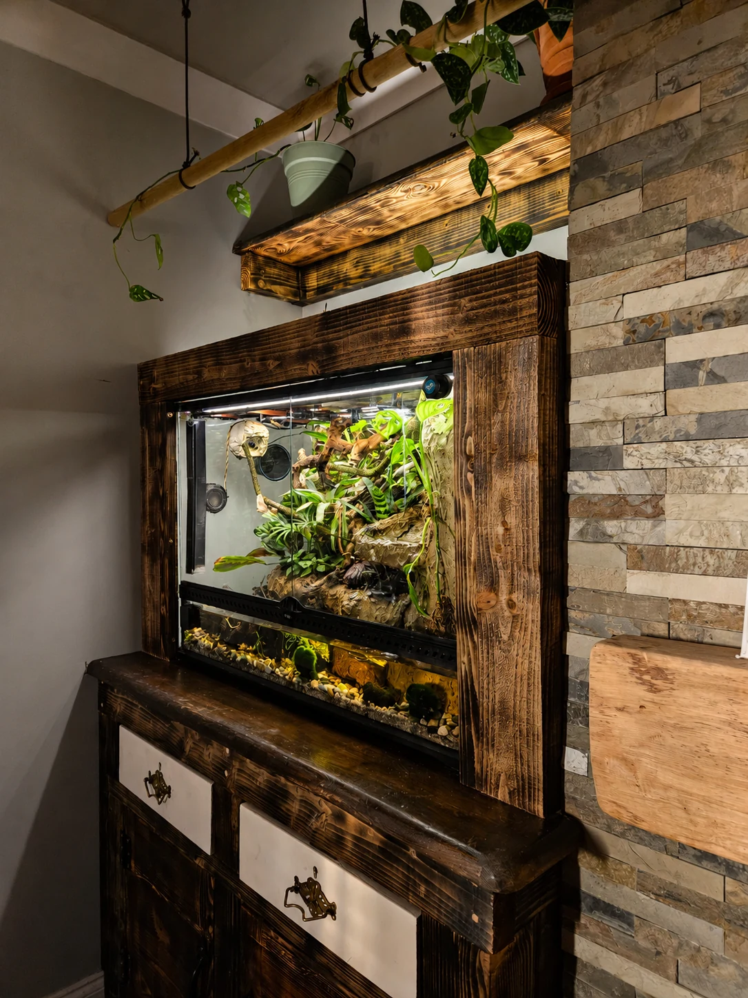 BioMekka automated paludarium in the living room